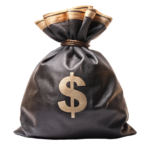 money-bag